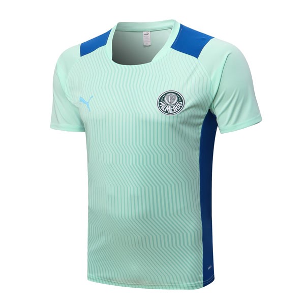 Trikot Entrenamien Palmeiras 2022-2023 Grün